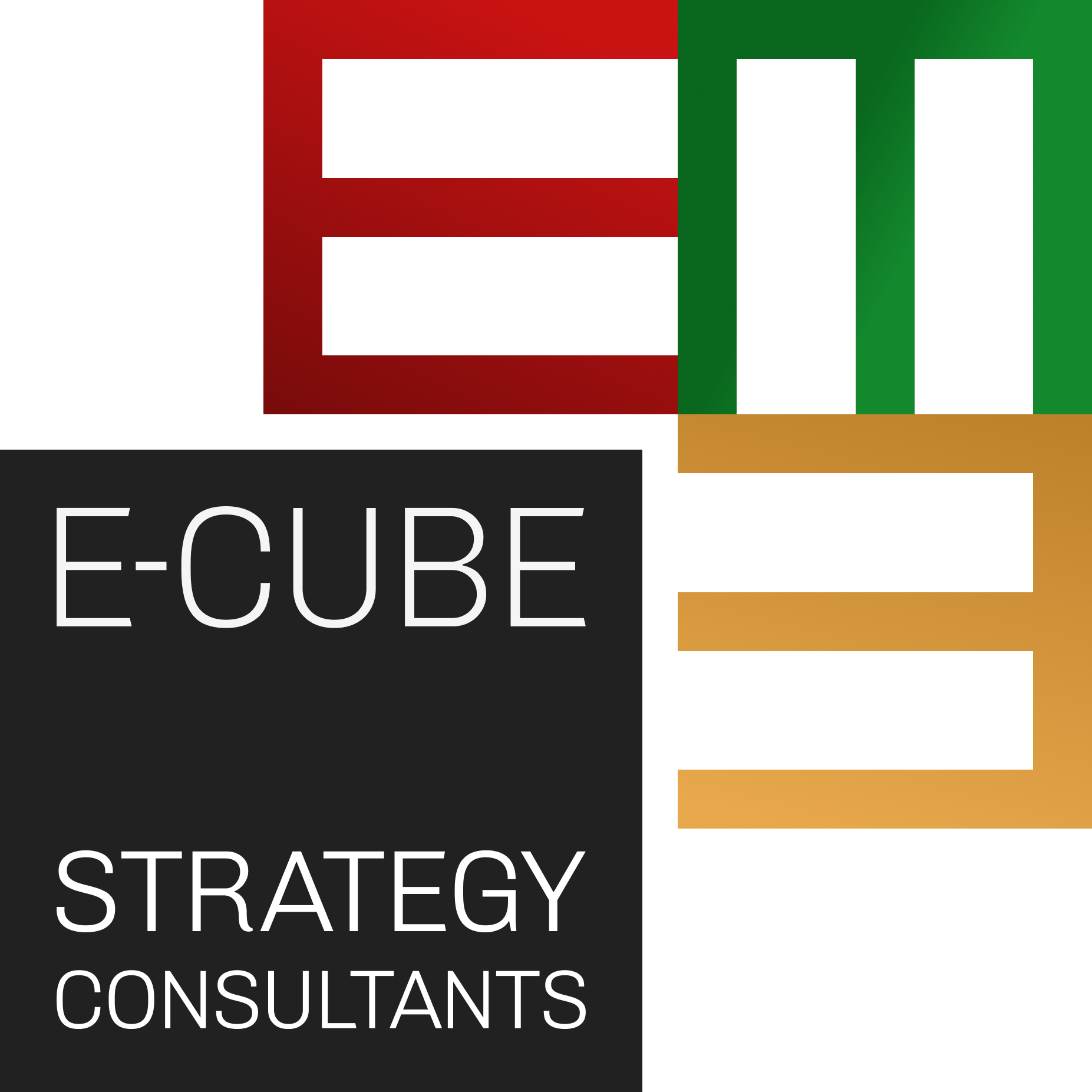 E-CUBE