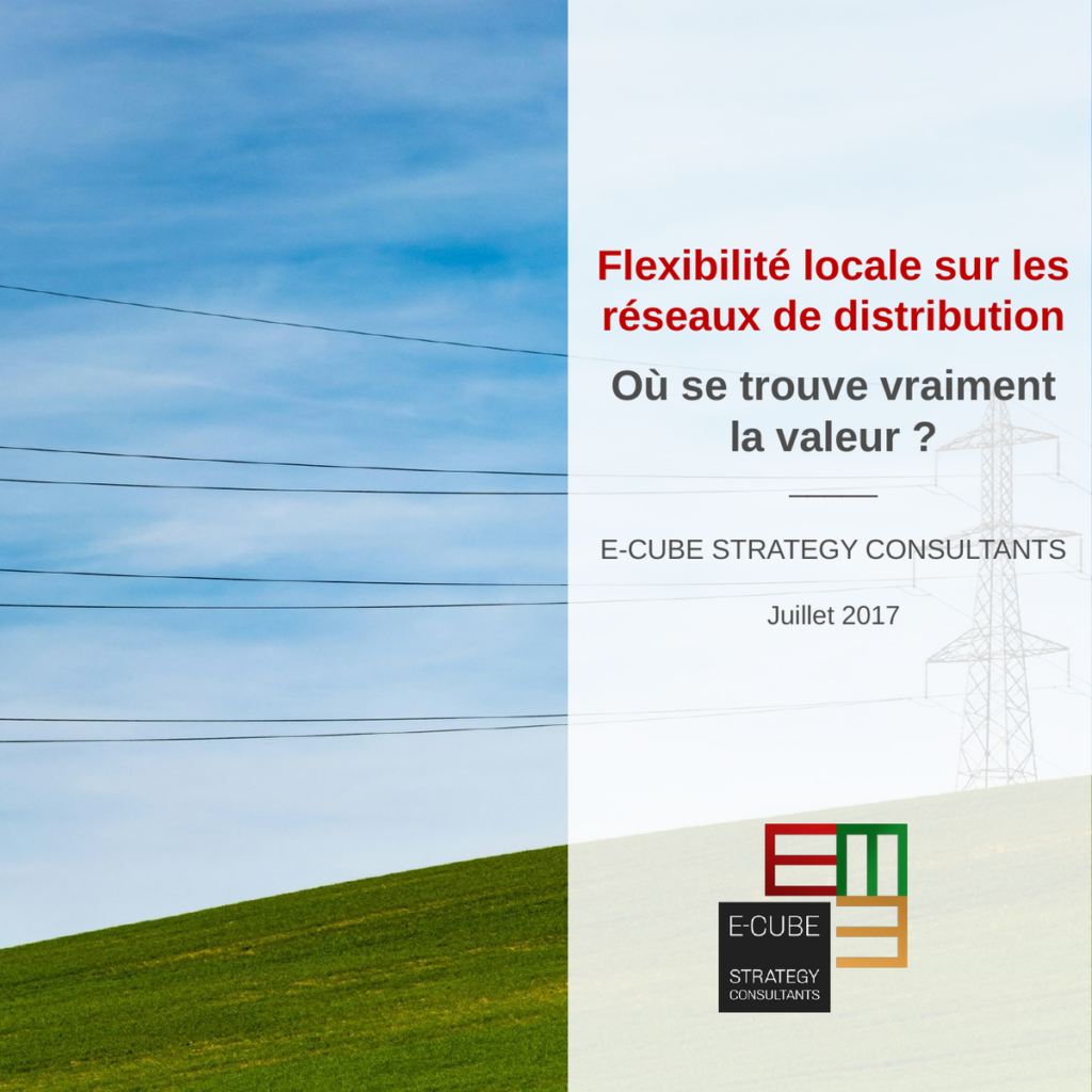 pov 2017 07 valorisation flexibilites reseaux distribution fr