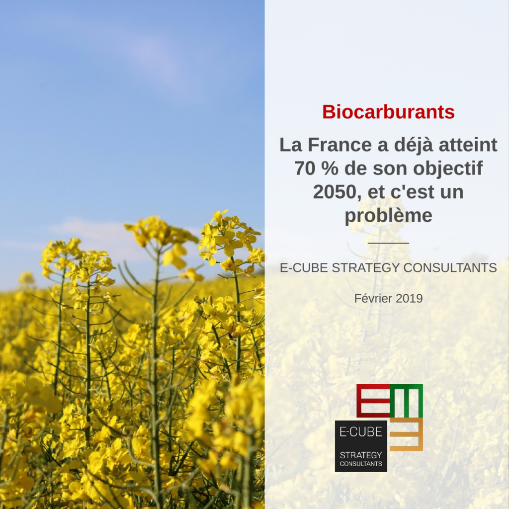 pov 2019 02 ruptures du marche francais des biocarburants fr
